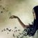 Avatar Cyann Kairos De Ligre Avatar Cyann Kairos De Ligre