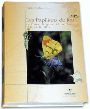 Les papillons de jour