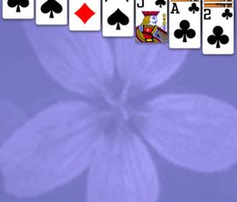 image-https://media.senscritique.com/media/000007476852/0/Solitaire.jpg