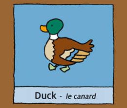 image-https://media.senscritique.com/media/000007494165/0/T_choupi_Apprends_l_Anglais.jpg