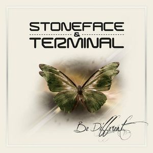 We Own the Night (Stoneface & Terminal album mix)