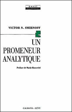 Un promeneur analytique