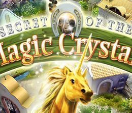 image-https://media.senscritique.com/media/000007507706/0/secret_of_the_magic_crystals.jpg