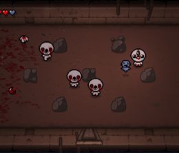 image-https://media.senscritique.com/media/000007507769/0/the_binding_of_isaac_rebirth.jpg