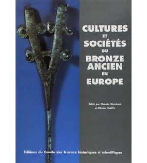 Cultures et sociétés du Bronze ancien en Europe