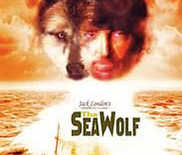 image-https://media.senscritique.com/media/000007531168/0/the_sea_wolf.png