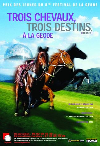 Les Films Avec Des Chevaux Dedans Liste De 284 Films Senscritique