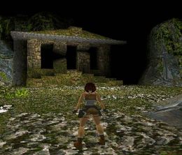 image-https://media.senscritique.com/media/000007552491/0/tomb_raider.jpg