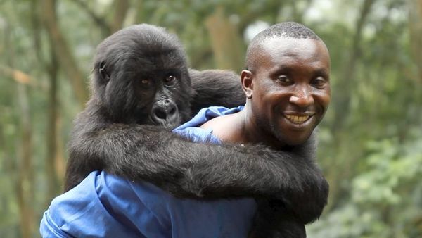 Virunga