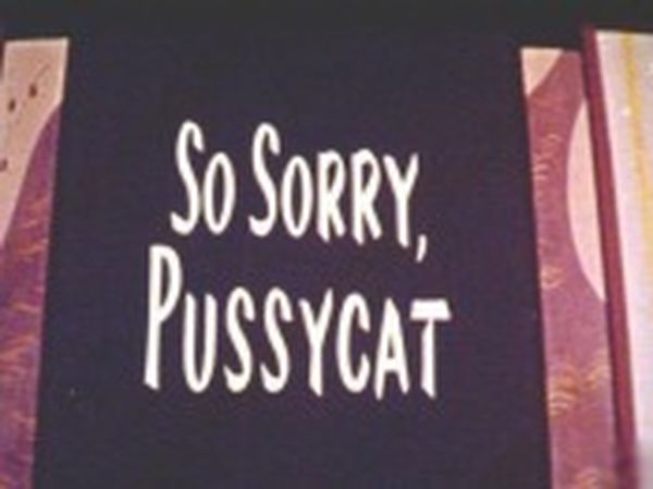 So Sorry, Pussycat