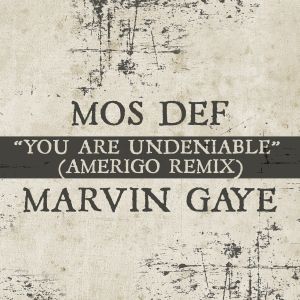 You Are Undeniable (Amerigo remix) (Single)