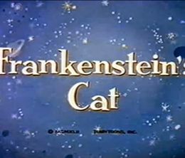 image-https://media.senscritique.com/media/000007607855/0/frankenstein_s_cat.jpg