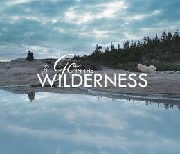 image-https://media.senscritique.com/media/000007634554/0/go_in_the_wilderness.jpg