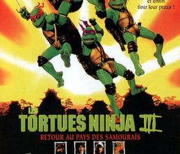 image-https://media.senscritique.com/media/000007648510/0/les_tortues_ninja_3.jpg