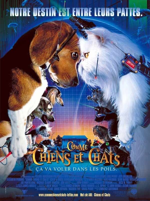 Comme Chiens Et Chats Film 2001 Senscritique