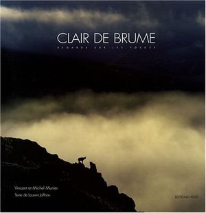 Clair de brume : regards sur les Vosges