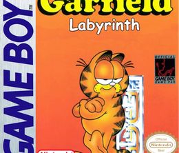 image-https://media.senscritique.com/media/000007680049/0/garfield_labyrinth.jpg