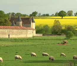 image-https://media.senscritique.com/media/000007686415/0/les_petits_gars_de_la_campagne.jpg