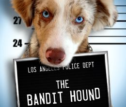 image-https://media.senscritique.com/media/000007692400/0/the_bandit_hound.jpg