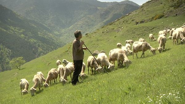 Les Petits Gars de la campagne