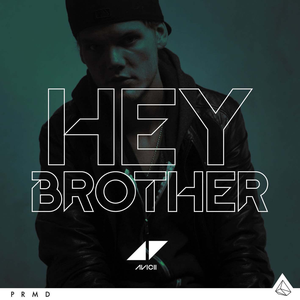 Hey Brother (Single)