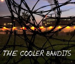 image-https://media.senscritique.com/media/000007728194/0/the_cooler_bandits.jpg