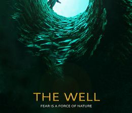 image-https://media.senscritique.com/media/000007734051/0/the_well.jpg