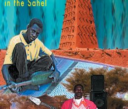 image-https://media.senscritique.com/media/000007760198/0/niger_magic_and_ecstasy_in_the_sahel.jpg