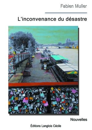 L'inconvenance du désastre