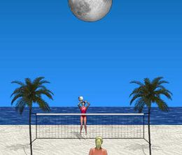 image-https://media.senscritique.com/media/000007762088/0/Beach_Volleyball.jpg