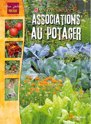 Les meilleures associations au potager