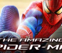 image-https://media.senscritique.com/media/000007783727/0/the_amazing_spider_man.jpg