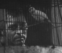 image-https://media.senscritique.com/media/000007834392/0/le_prisonnier_d_alcatraz.jpg