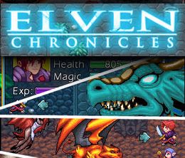 image-https://media.senscritique.com/media/000007844278/0/Elven_Chronicles.jpg