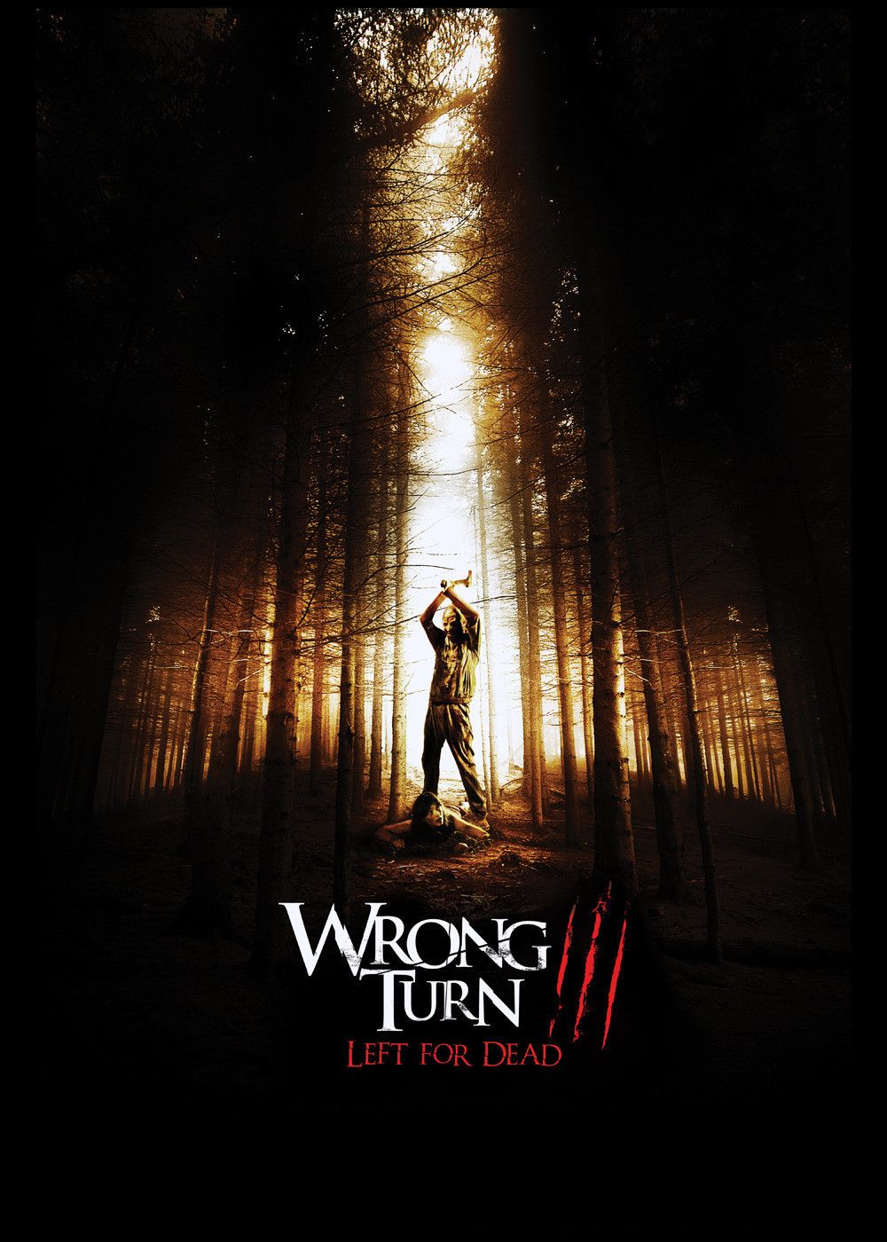 Films De La Série Détour Mortel Affiches, posters et images de Détour mortel 3 (2009) - SensCritique