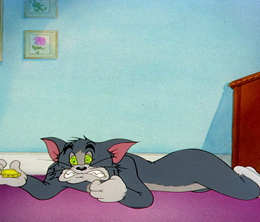 image-https://media.senscritique.com/media/000007867670/0/tom_et_jerry_kitty_foiled.png