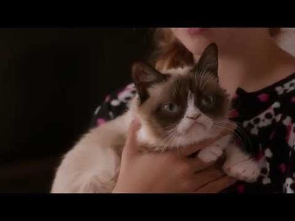 Grumpy Cat's Worst Christmas Ever