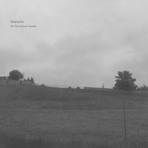 For the Dinner Guests