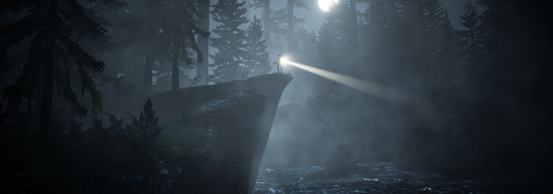 Cover Alan Wake