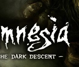 image-https://media.senscritique.com/media/000007923285/0/amnesia_the_dark_descent.jpg