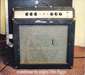 Continue to Enjoy The Figgs (Live)