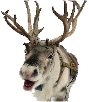 Rudolph Chewed Off (Single)