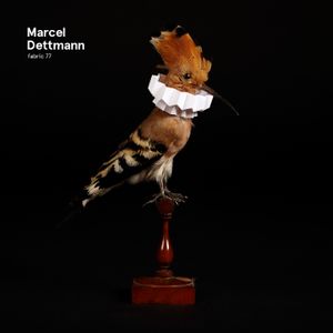 Fabric 77: Marcel Dettmann (continuous DJ mix)
