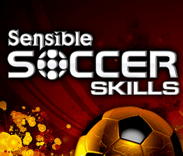 image-https://media.senscritique.com/media/000007973079/0/sensible_soccer_skills.png