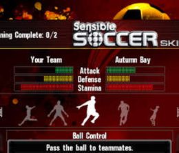 image-https://media.senscritique.com/media/000007973081/0/sensible_soccer_skills.jpg