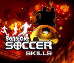 image-https://media.senscritique.com/media/000007973083/0/sensible_soccer_skills.jpg