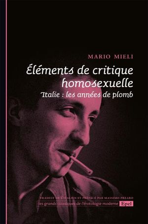 Eléments de critique homosexuelle