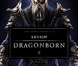 image-https://media.senscritique.com/media/000007993317/0/the_elder_scrolls_v_skyrim_dragonborn.jpg