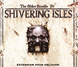 image-https://media.senscritique.com/media/000007993327/0/the_elder_scrolls_iv_oblivion_the_shivering_isles.jpg
