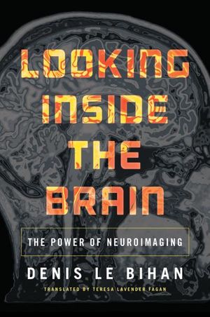 Looking Inside the Brain